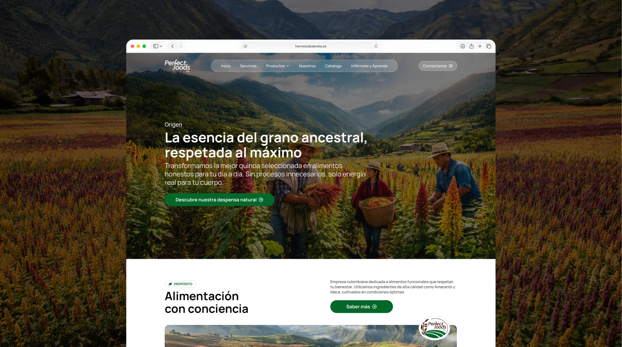 Diseño de la página principal (homepage) para Perfect Foods Co. desarrollado por TantumTech, destacando el concepto de esencia del grano ancestral y nutrición premium.